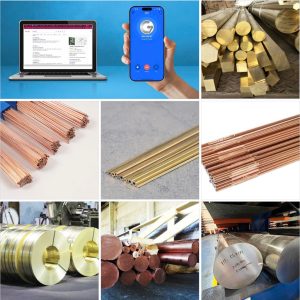 Láp Đồng Phi 110