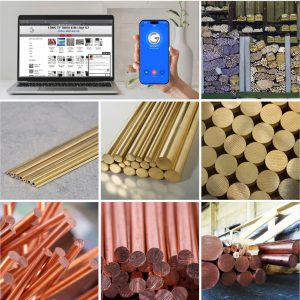 Láp Đồng Phi 102